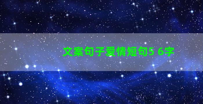 文案句子爱情短句5 6字